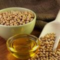دانه های روغنی کلزا