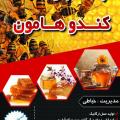 عسل ارگانیک