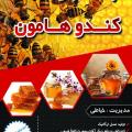 عسل ارگانیک