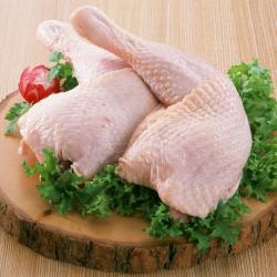 مرغ و شتر مرغ