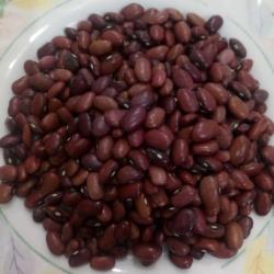 لوبیا ارگانیک