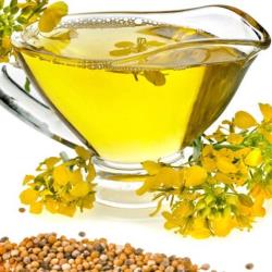 دانه های روغنی کلزا