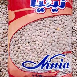 عدس 