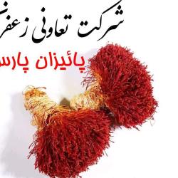 زعفران دختر پیچ (دسته)