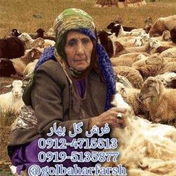 تابلو فرش نقش پرتره