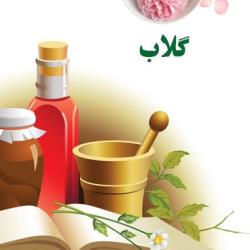 عرقیجات